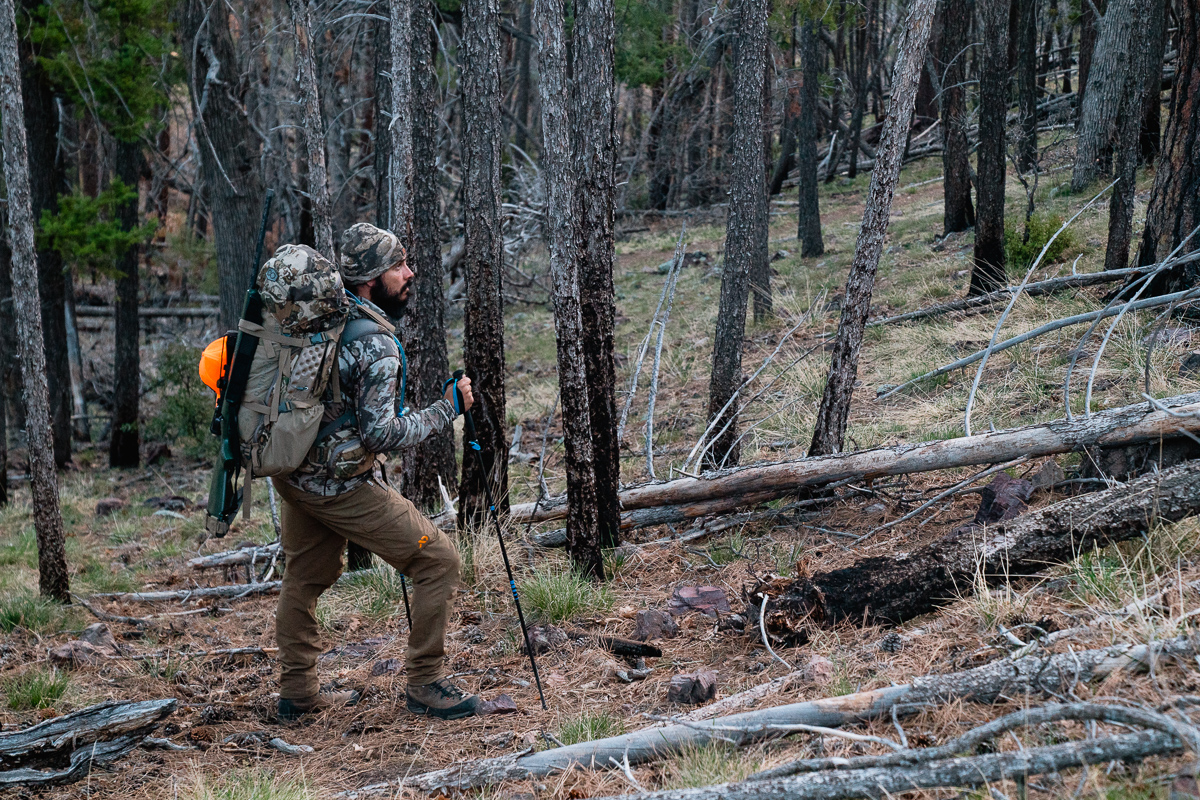 Spring Bear Why You Need to Consider Spot and Stalk Hunting